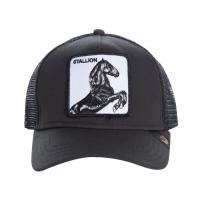 Casquette Goorin Bros The Stallion Cheval